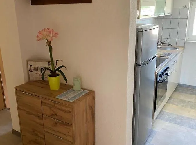 Maki With New Pool Nin