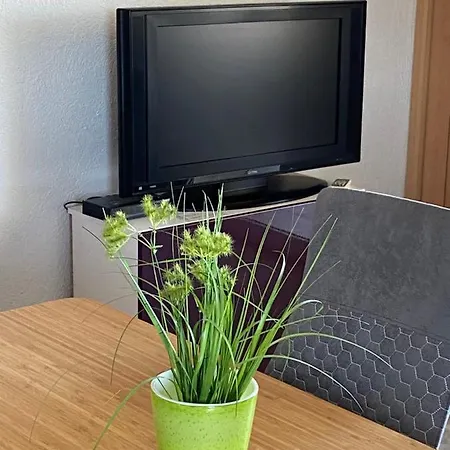 Croliday With Pool Nin Apartament